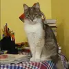Отзыв от Таисия Орлова